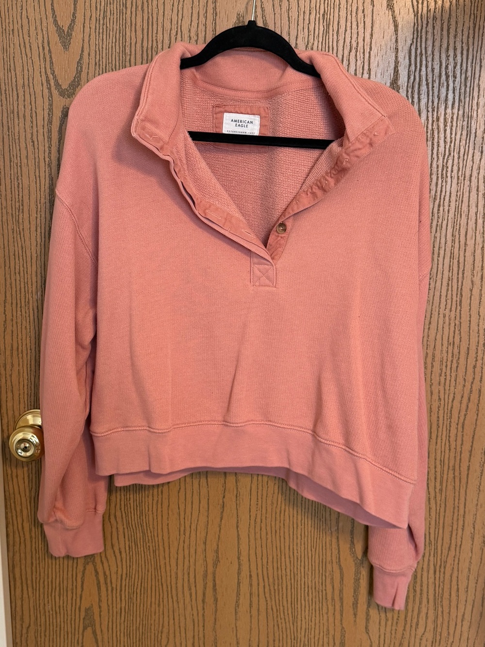 American Eagle Outfitters Dusty Pink Snap Pullover
